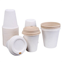 sugarcane cup from mmcis china